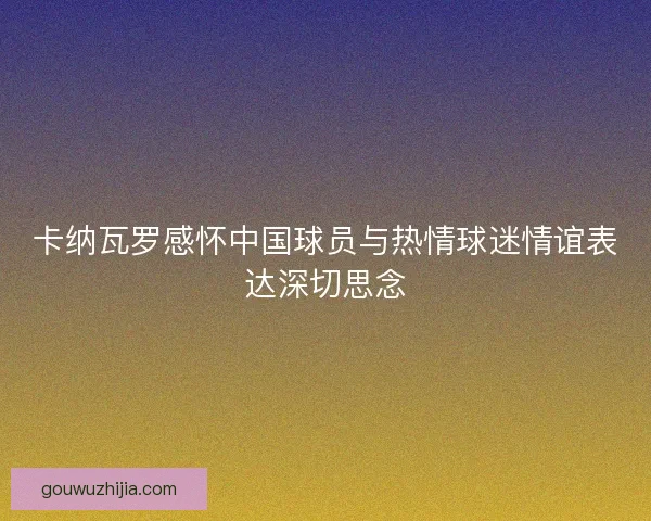 卡纳瓦罗感怀中国球员与热情球迷情谊表达深切思念