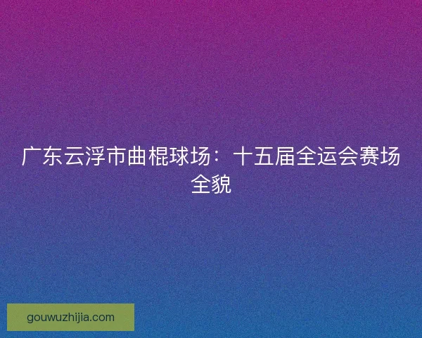 广东云浮市曲棍球场：十五届全运会赛场全貌